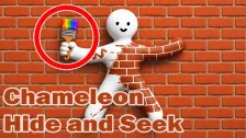 Chameleon Hide and Seek