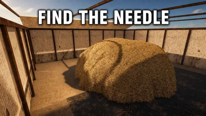 Play Find the Needle game
