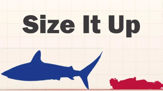 Play Size It Up game