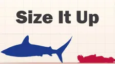 Size It Up