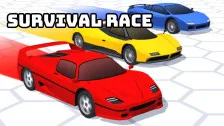 Survival Race